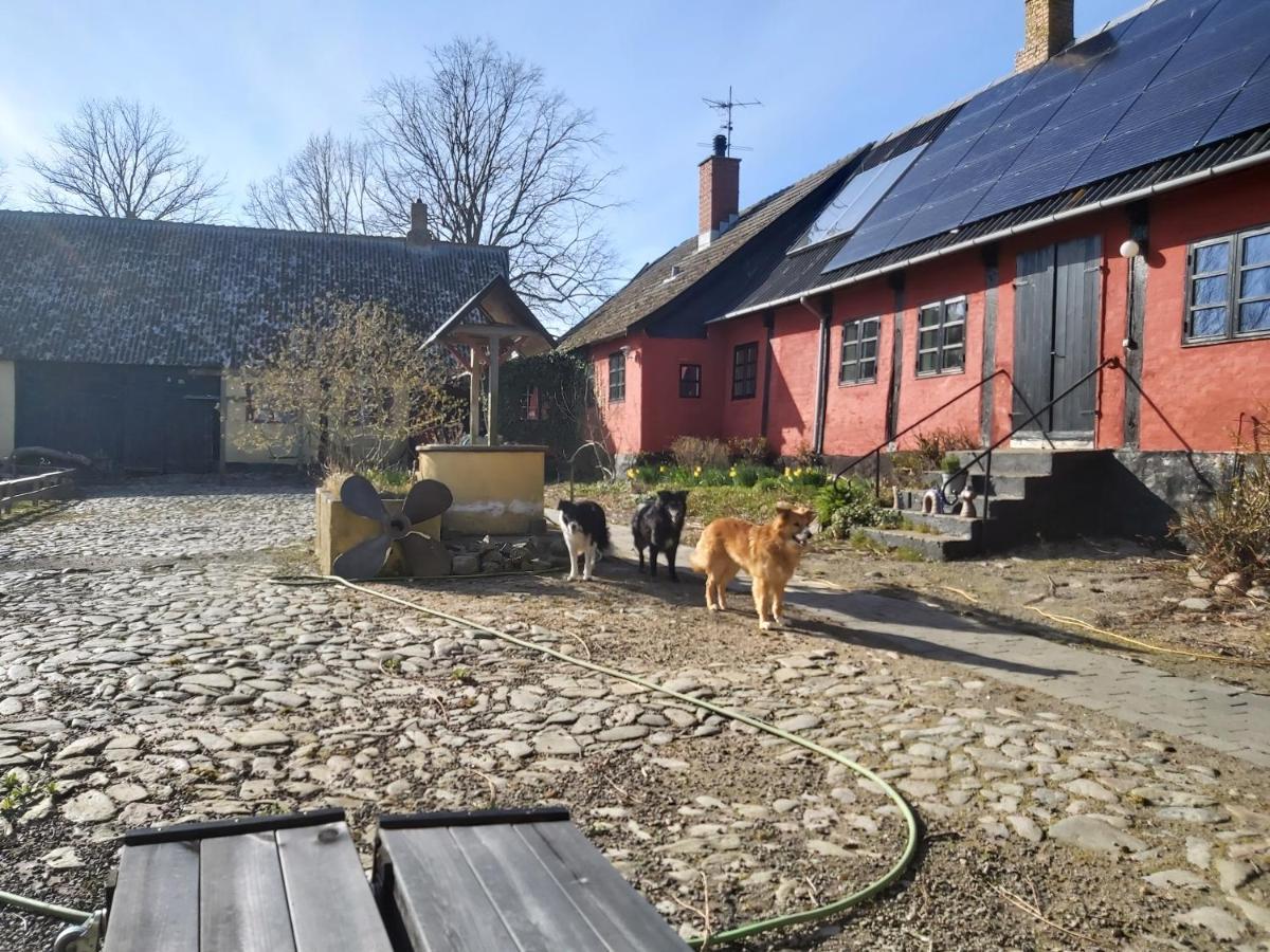 Bolshavnvej5 Bed & Breakfast Kültér fotó